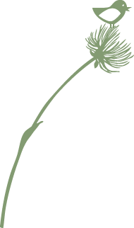 twitter_flower